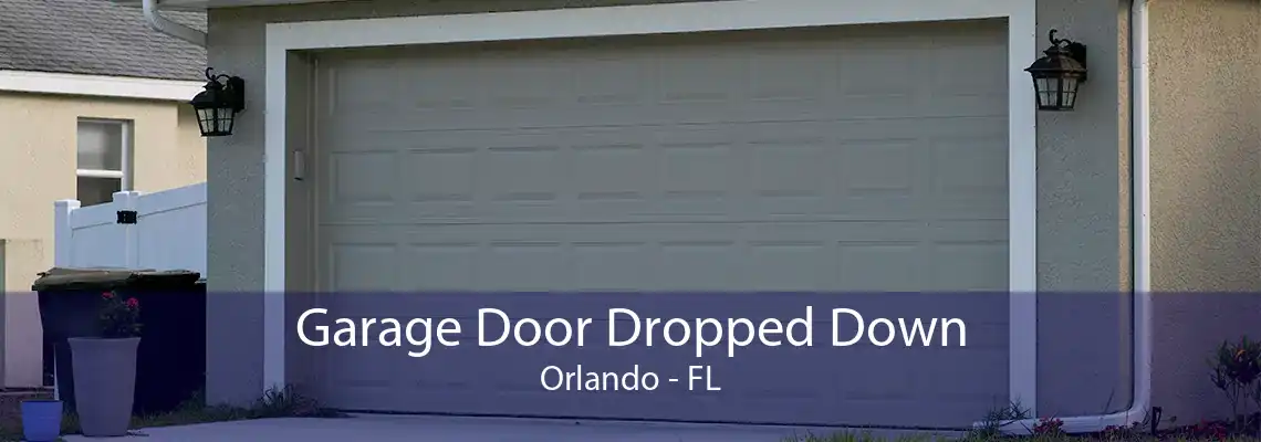 Garage Door Dropped Down Orlando - FL