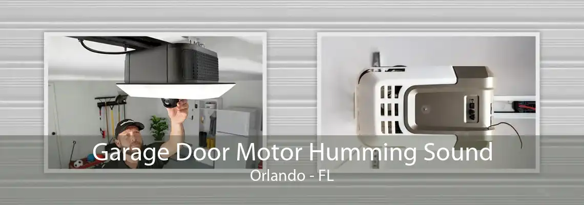 Garage Door Motor Humming Sound Orlando - FL