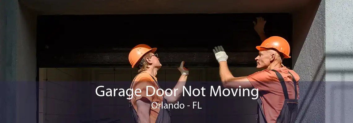 Garage Door Not Moving Orlando - FL