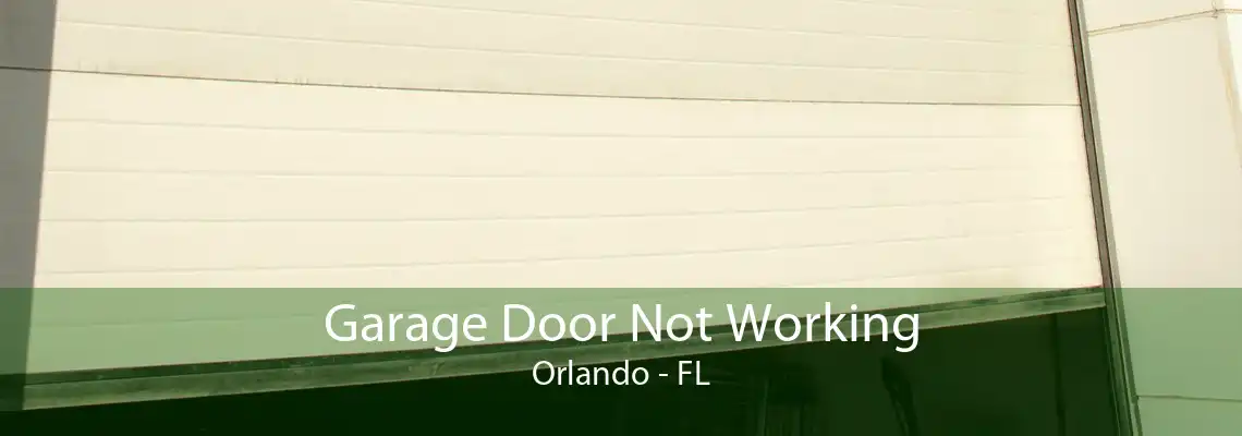 Garage Door Not Working Orlando - FL