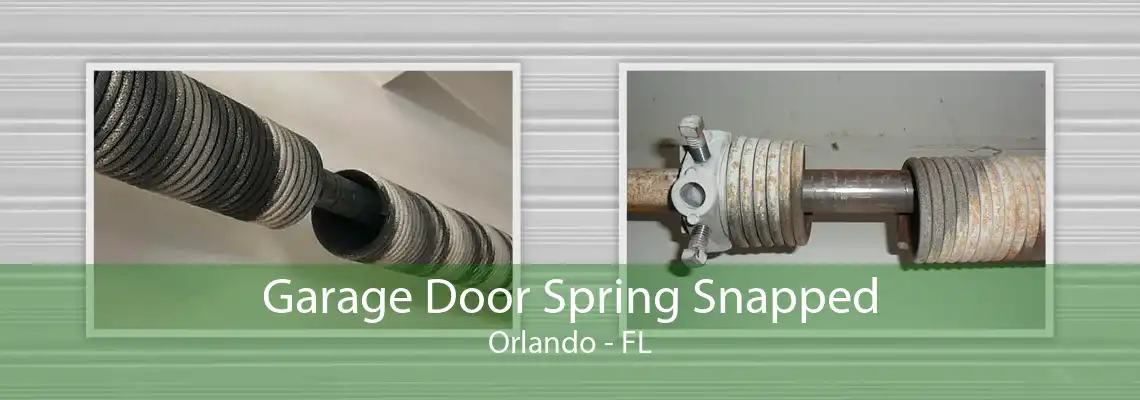 Garage Door Spring Snapped Orlando - FL