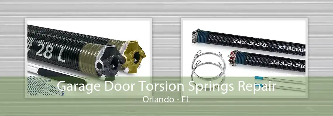 Garage Door Torsion Springs Repair Orlando - FL