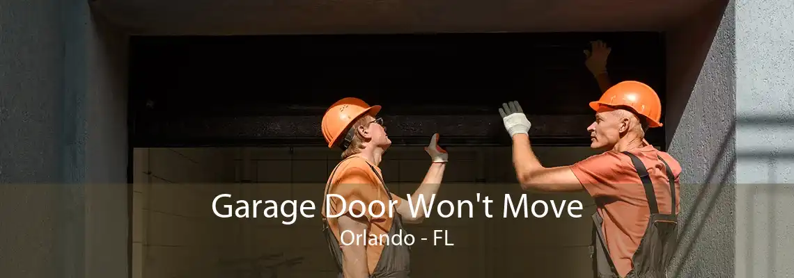 Garage Door Won't Move Orlando - FL