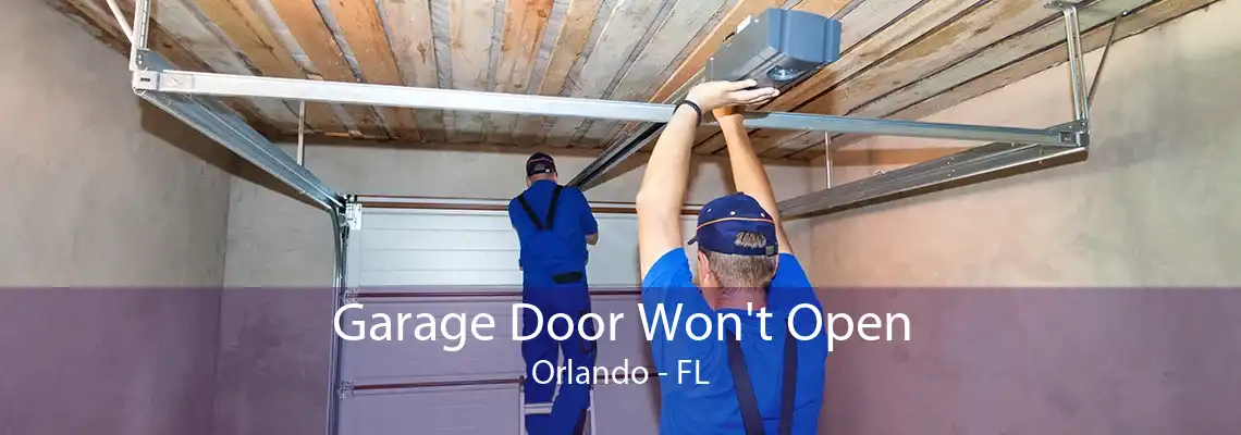 Garage Door Won't Open Orlando - FL